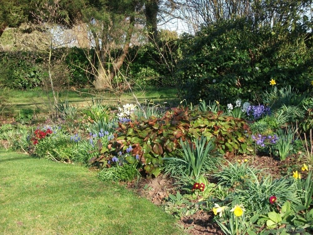 Church Farm B&B Near Telford And Ironbridge シフナル エクステリア 写真